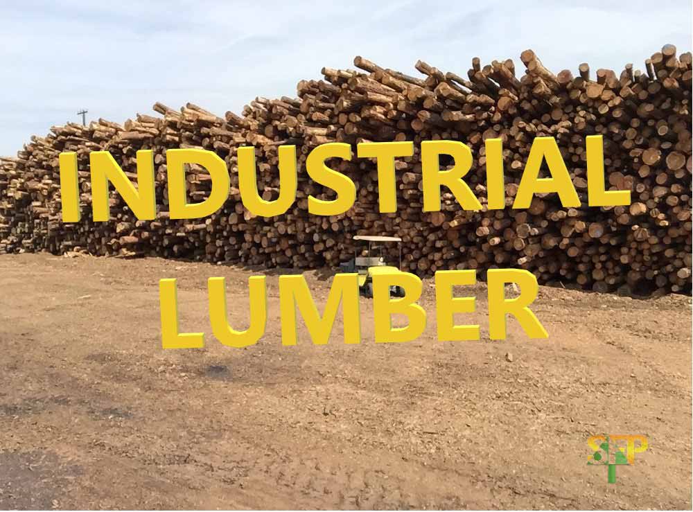 Industrial Timber Products - Industrial Lumber Sales and Supply in Phoenix, Arizona