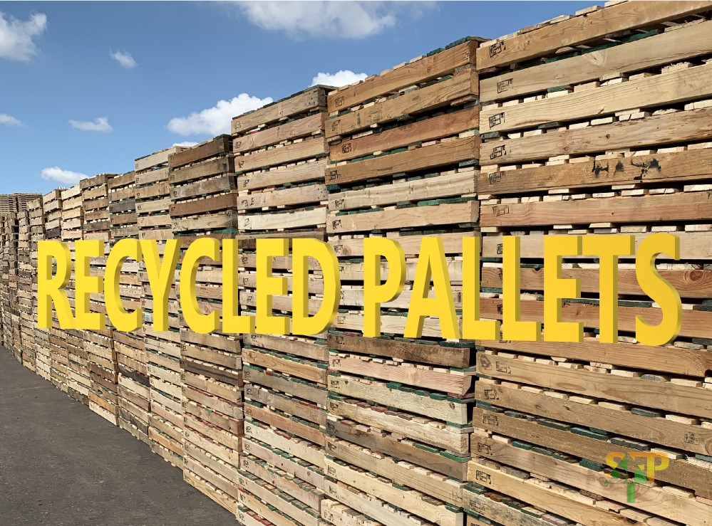 Recycled Wood Pallets - Buy Pallets and Sell Pallets in Phoenix, AZ