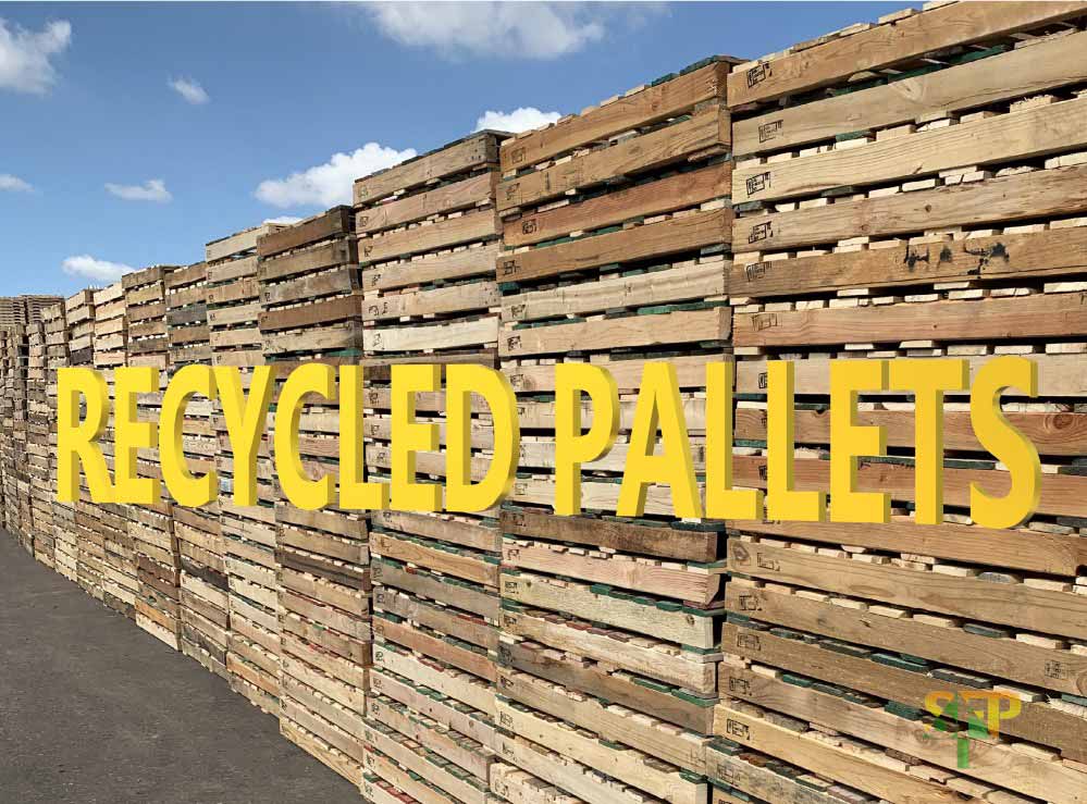 Recycled Wood Pallets for Sale - Buy Used Pallets for Sale in Phoenix, Arizona