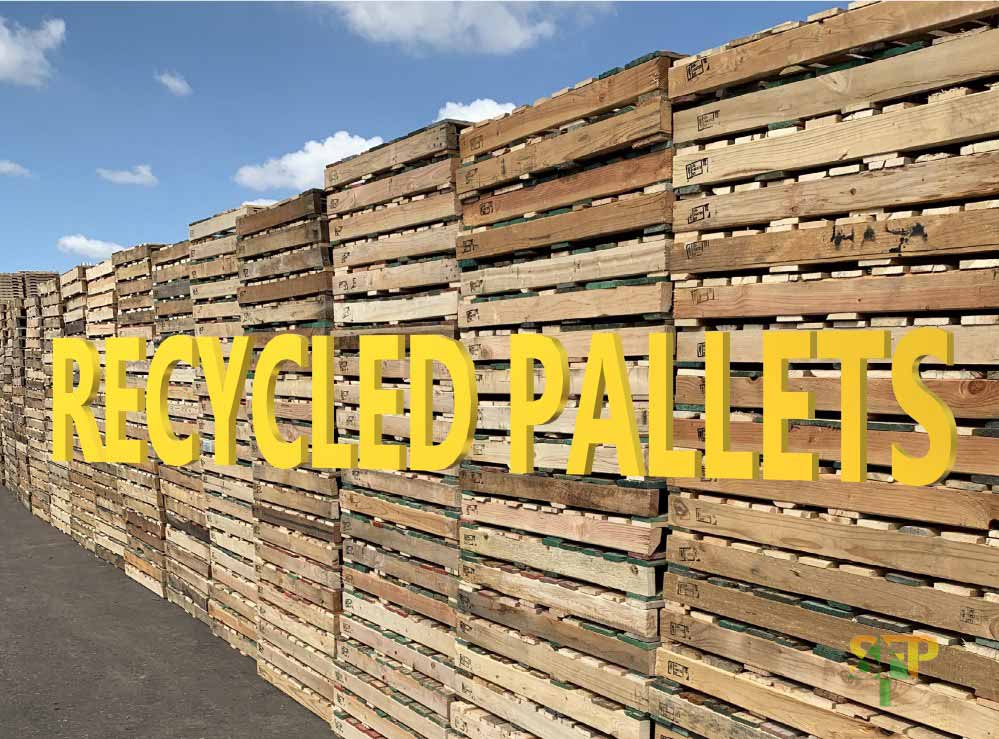 Used Pallets for Sale in Phoenix AZ Southwest Forest Products